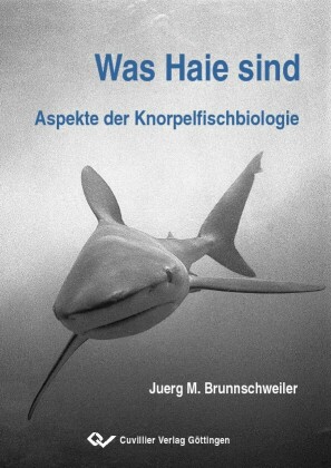 Was Haie sind