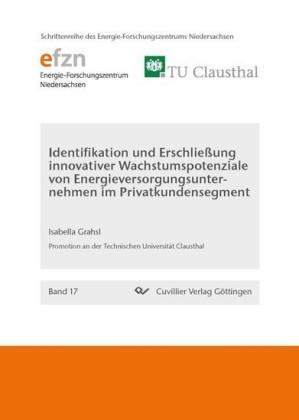 Identifikation und Erschlie&#xDF;ung innovativer Wachstumspotenziale von Energieversorgungsunternehmen im Privatkundensegment