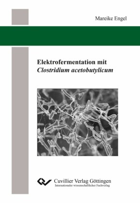 Elektrofermentation mit Clostridium acetobutylicum