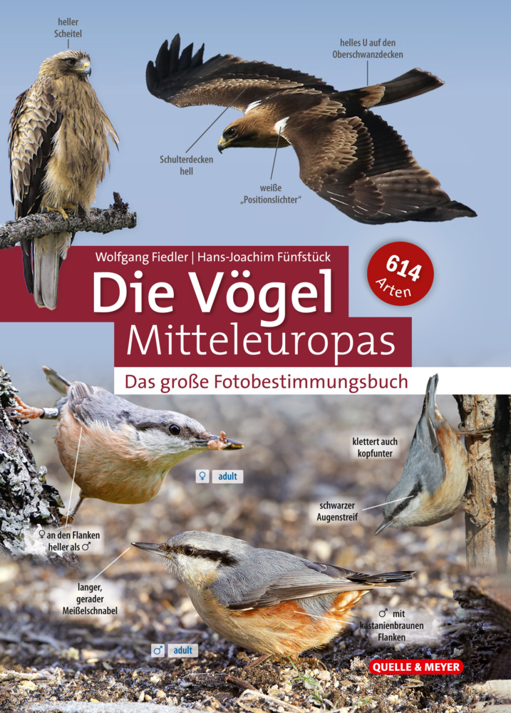 Die Vögel Mitteleuropas main product photo