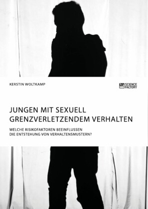 Jungen mit sexuell grenzverletzendem Verhalten. Welche Risikofaktoren beeinflussen die Entstehung von Verhaltensmustern?