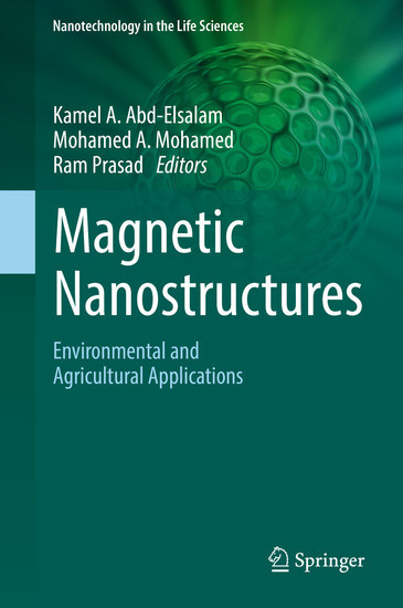Magnetic Nanostructures main product photo