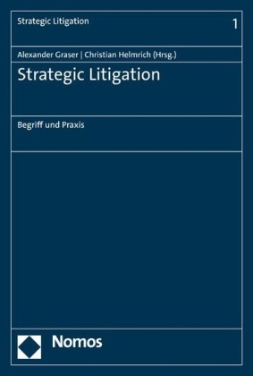 Strategic Litigation