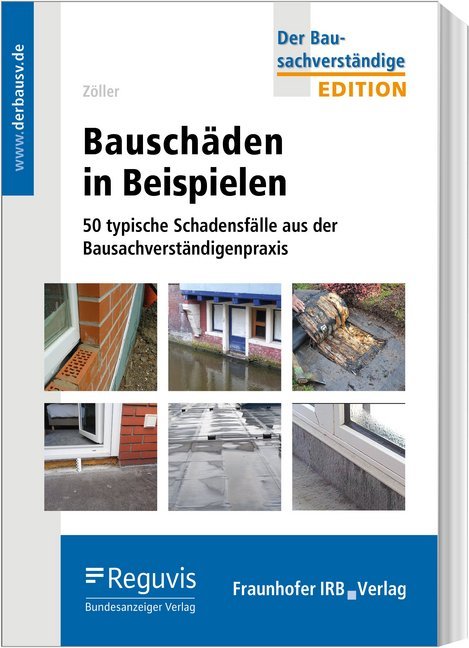 Bauschäden in Beispielen main product photo