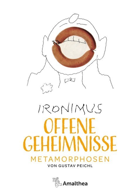 Offene Geheimnisse main product photo