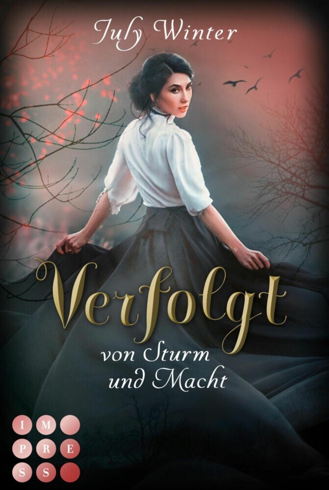 Verfolgt von Sturm und Macht (Sturmwanderer 1) main product photo