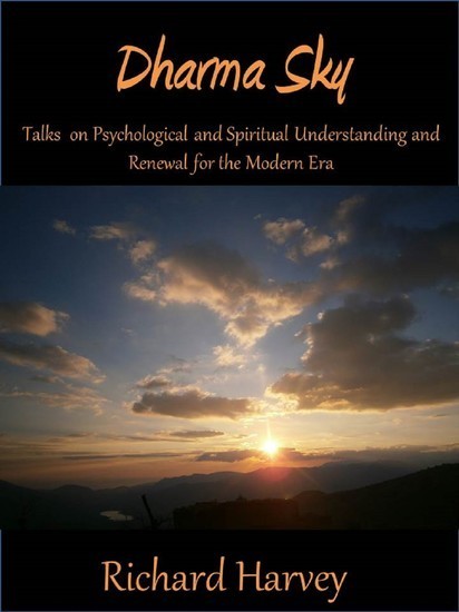 Dharma Sky main product photo