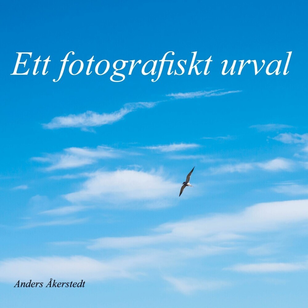 Ett fotografiskt urval main product photo