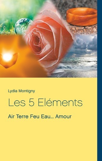 Les 5 Eléments main product photo
