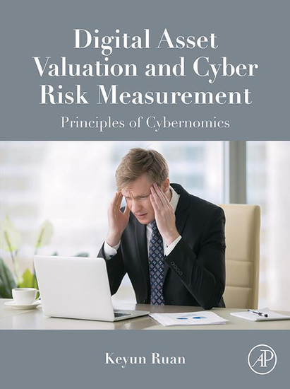 Digital Asset Valuation and Cyber Risk Measurement main product photo
