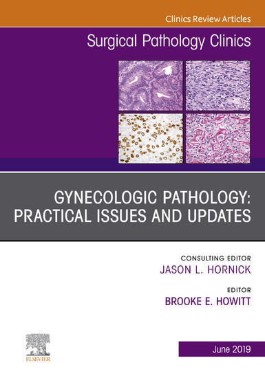 Gynecologic Pathology: Practical Issues and Updates, An Issue of Surgical Pathology Clinics, Ebook main product photo