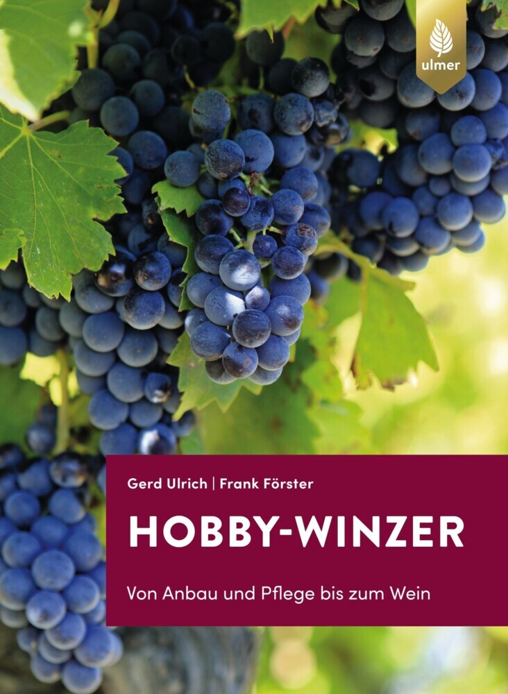 Hobby-Winzer main product photo