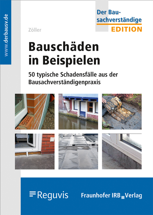 Bauschäden in Beispielen main product photo
