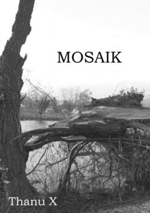Mosaik