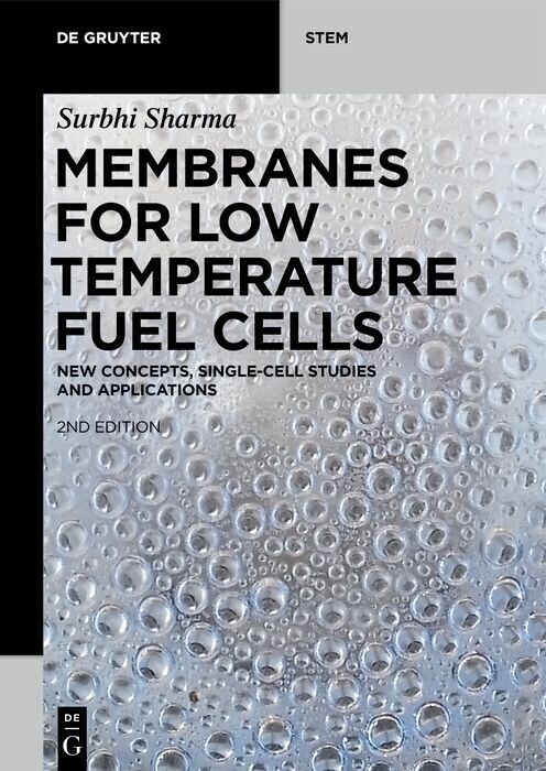 Membranes for Low Temperature Fuel Cells main product photo