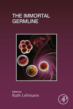 The Immortal Germline
