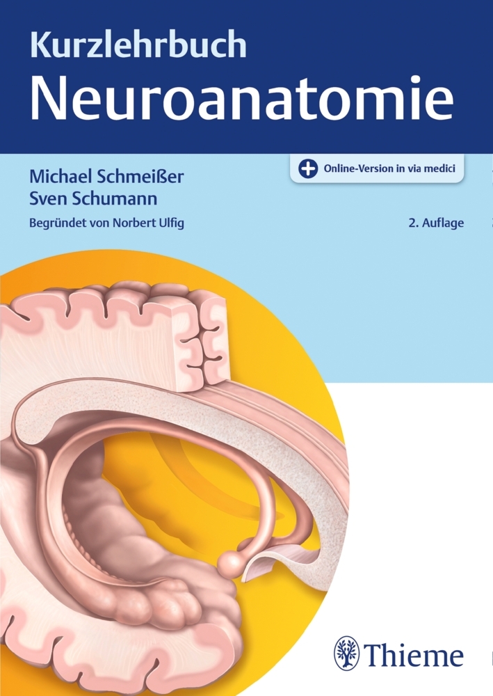 Kurzlehrbuch Neuroanatomie main product photo