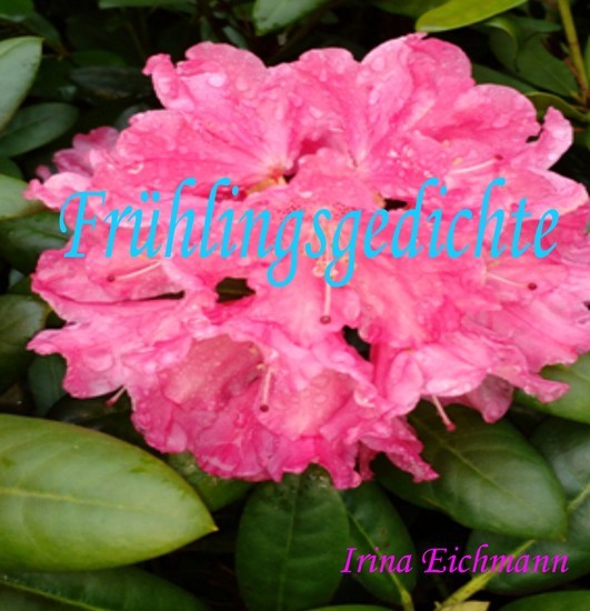Frühlingsgedichte main product photo