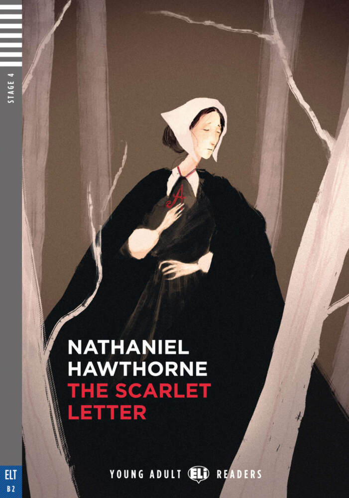 The Scarlet Letter main product photo