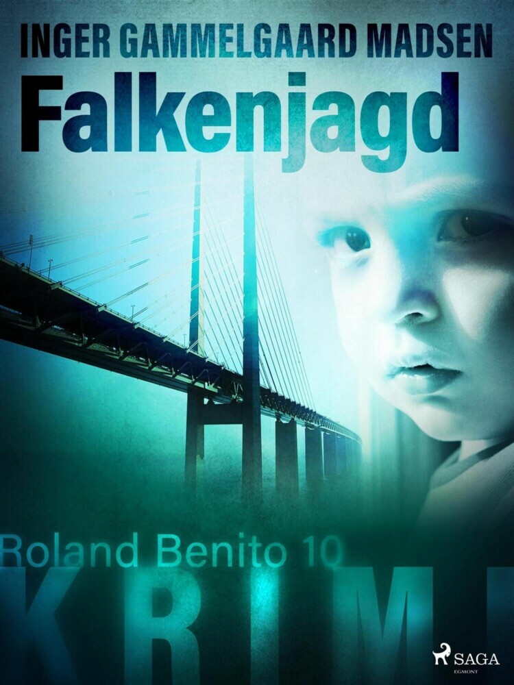 Falkenjagd - Roland Benito-Krimi 10 main product photo