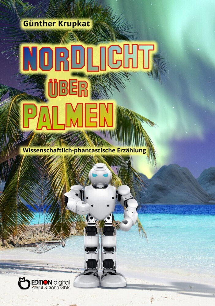 Nordlicht über Palmen main product photo