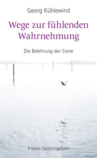 Wege zur fühlenden Wahrnehmung main product photo