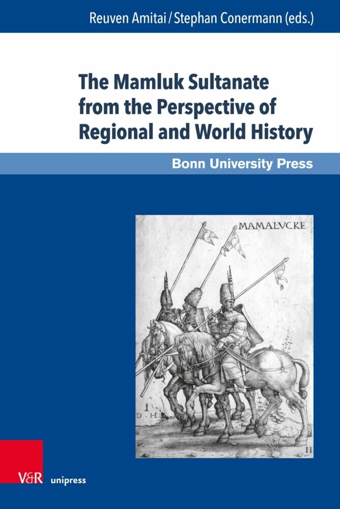 The Mamluk Sultanate from the Perspective of Regional and World History main product photo