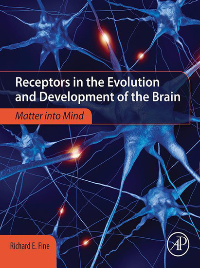 Receptors in the Evolution and Development of the Brain main product photo