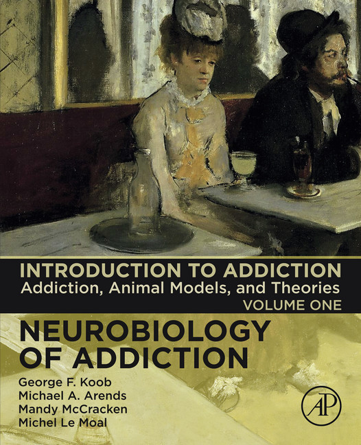 Introduction to Addiction main product photo