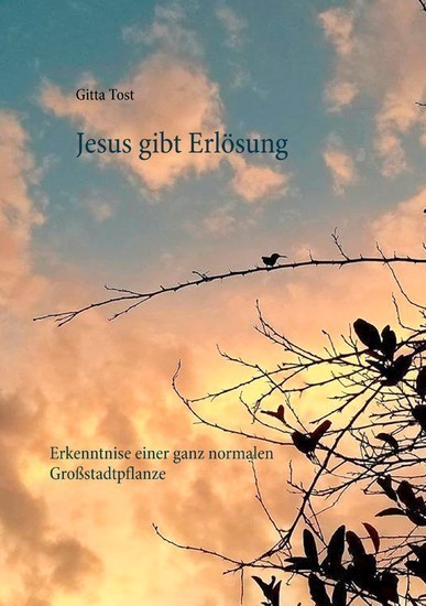 Jesus gibt Erlösung main product photo