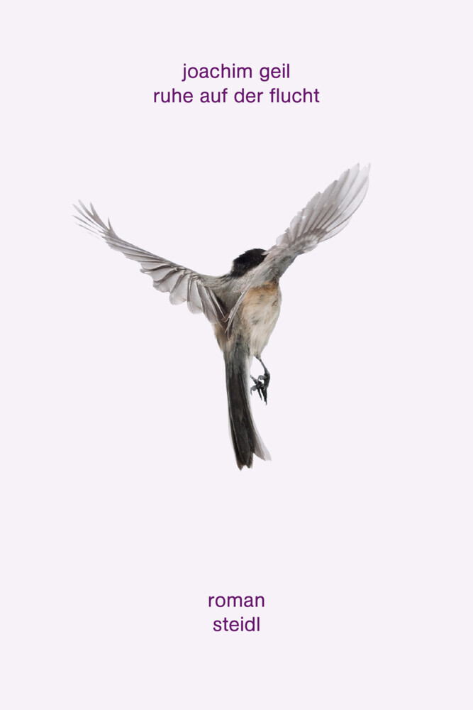 Ruhe auf der Flucht main product photo