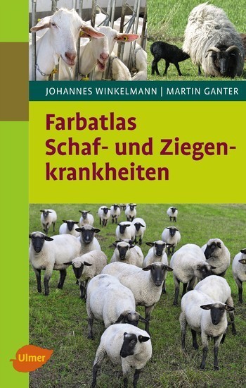 Schaf- und Ziegenkrankheiten main product photo