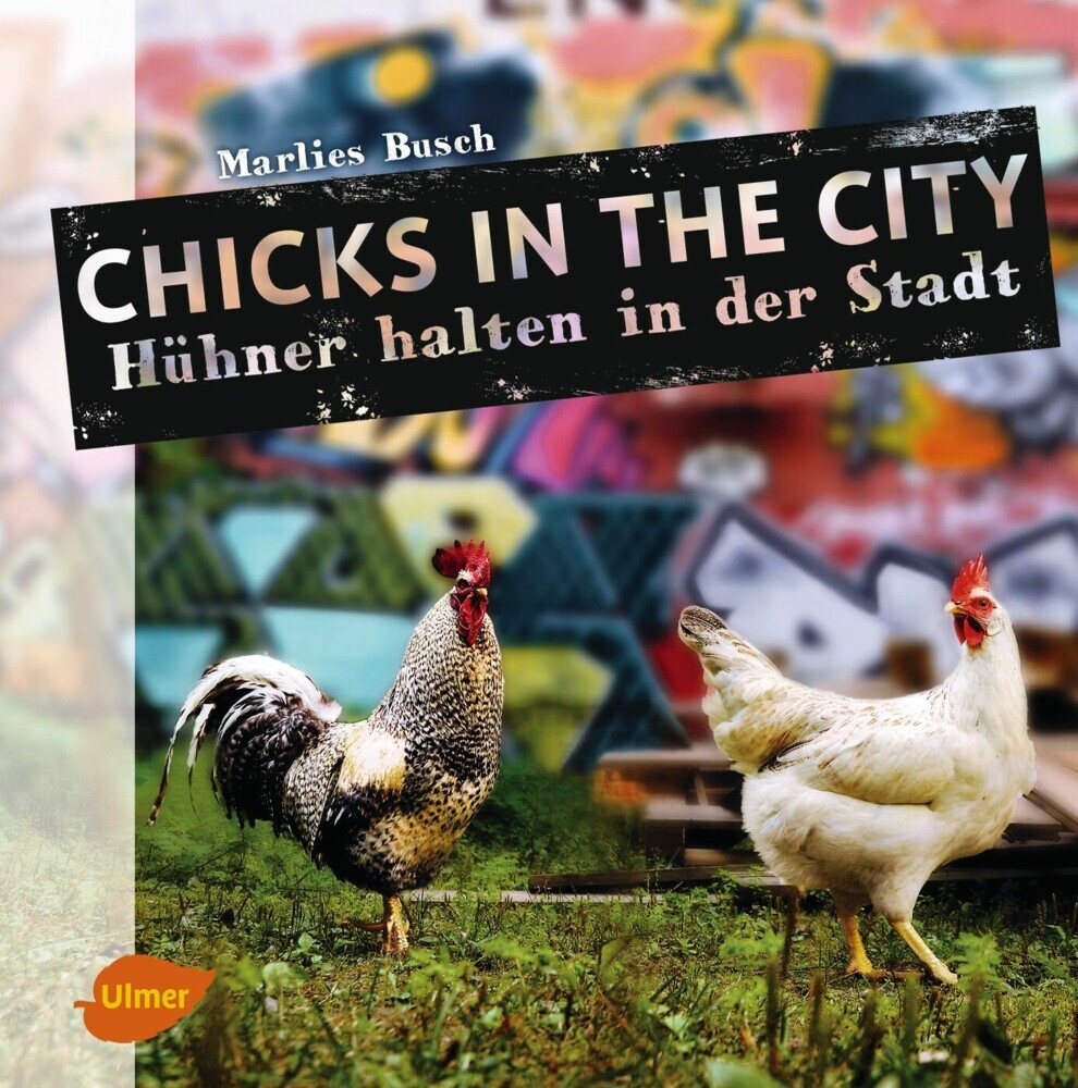 Chicks in the City main product photo
