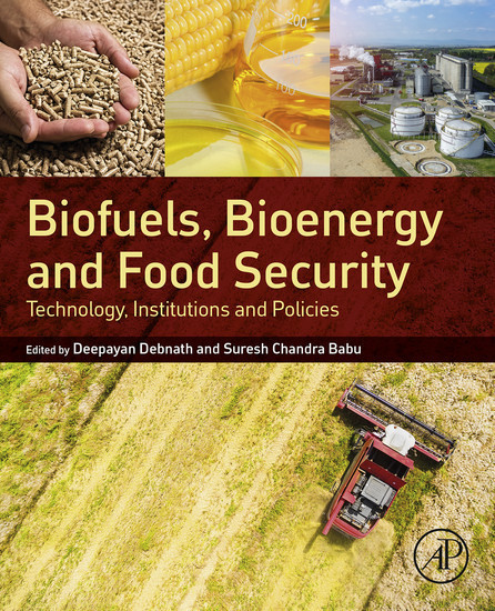 Biofuels, Bioenergy and Food Security main product photo