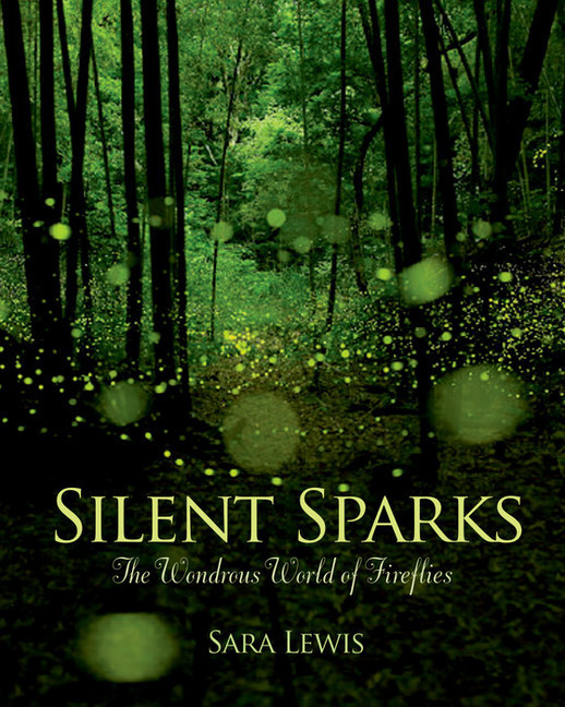 Silent Sparks main product photo