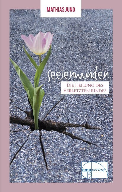 Seelenwunden main product photo