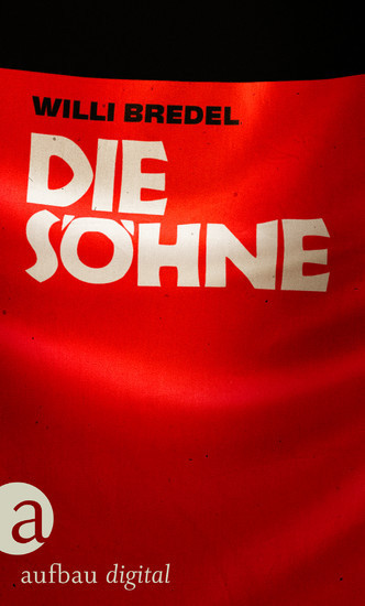 Die Söhne main product photo