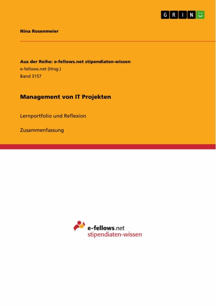 Management von IT Projekten main product photo