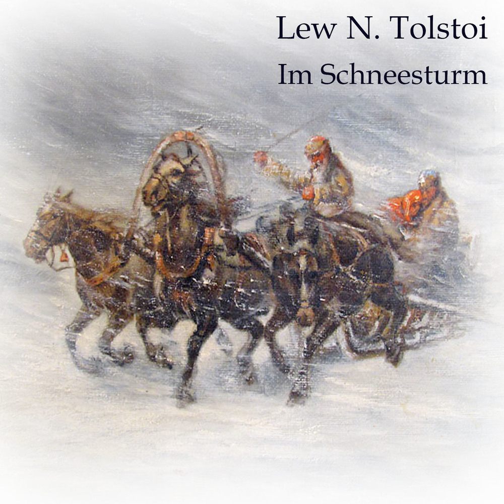 Im Schneesturm, Audio-CD, MP3 main product photo