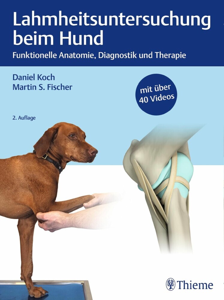 Lahmheitsuntersuchung beim Hund main product photo