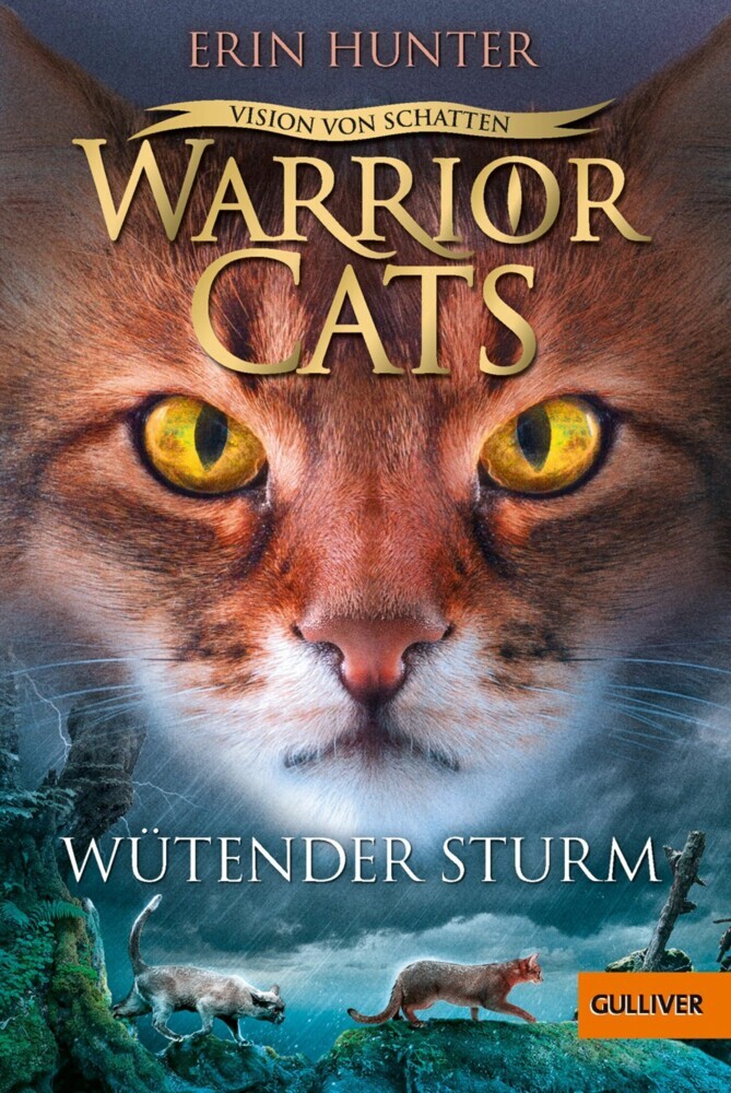 Warrior Cats - Vision von Schatten. Wütender Sturm main product photo