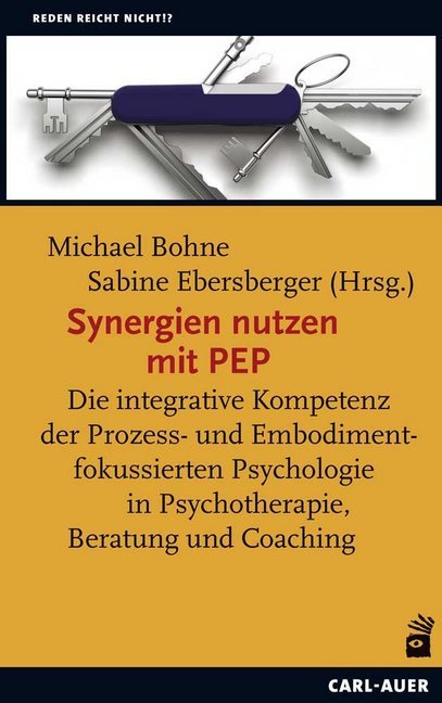 Synergien nutzen mit PEP main product photo