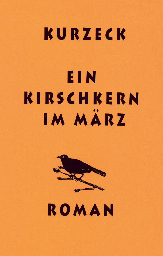 Ein Kirschkern im März main product photo