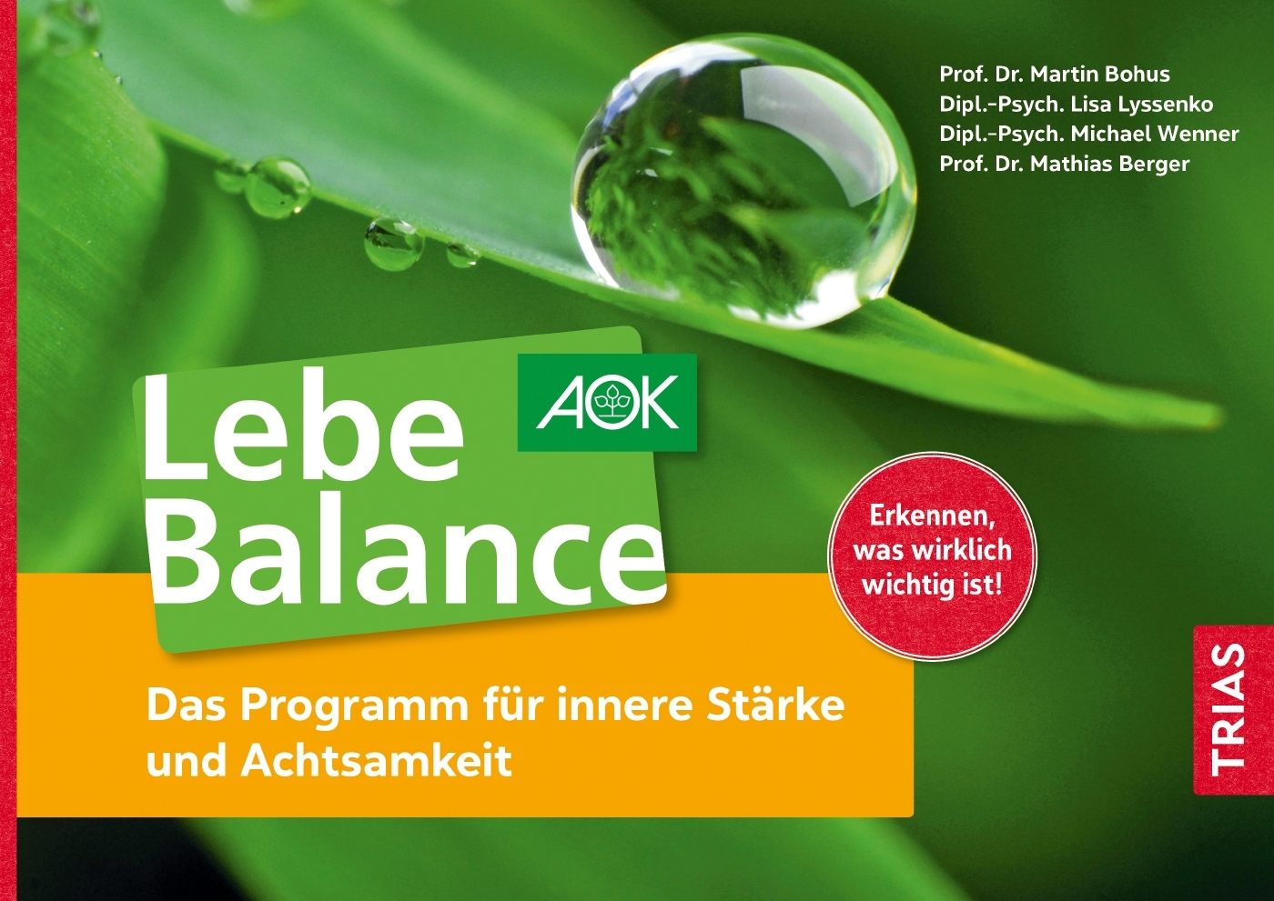 Lebe Balance main product photo