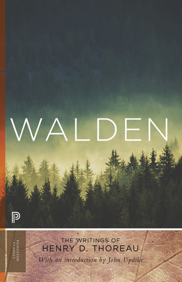 Walden main product photo