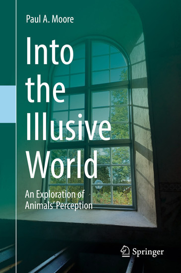 Into the Illusive World main product photo