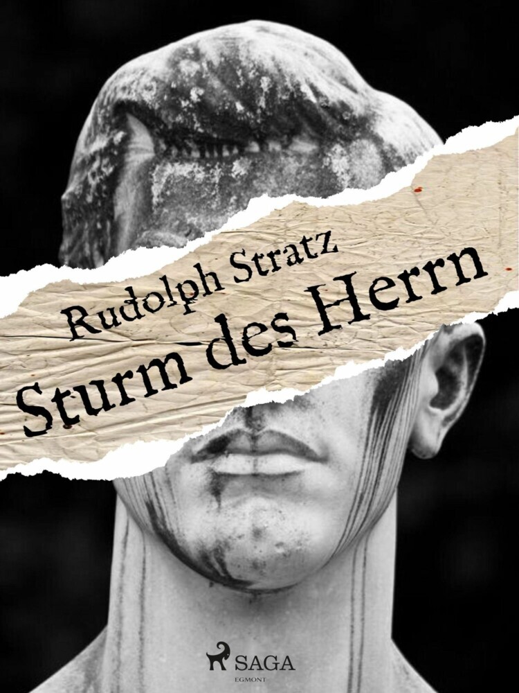 Sturm des Herrn main product photo
