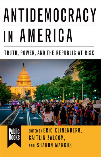 Antidemocracy in America main product photo
