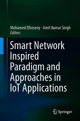 Smart Network Inspired Paradigm and Approaches in IoT Applications