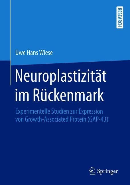 Neuroplastizität im Rückenmark main product photo